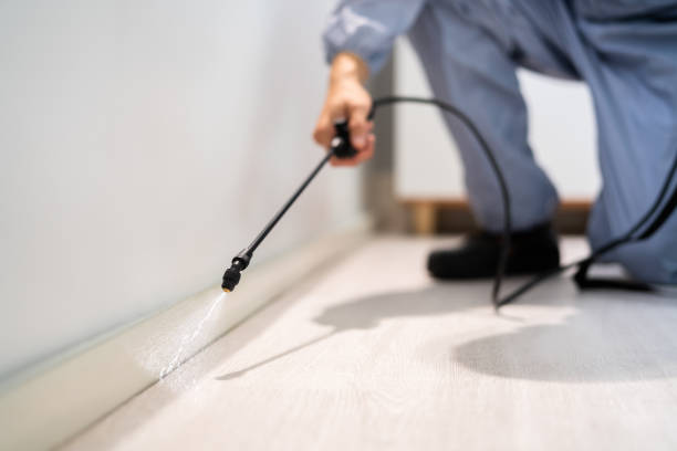 Licensed Rodent Control service in North Slope Borough County, AK - Nex Pest Control